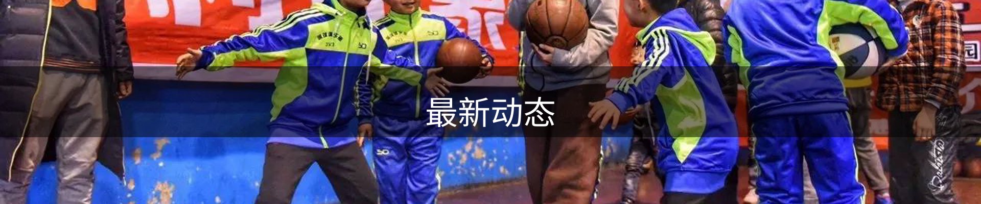 最新动态
